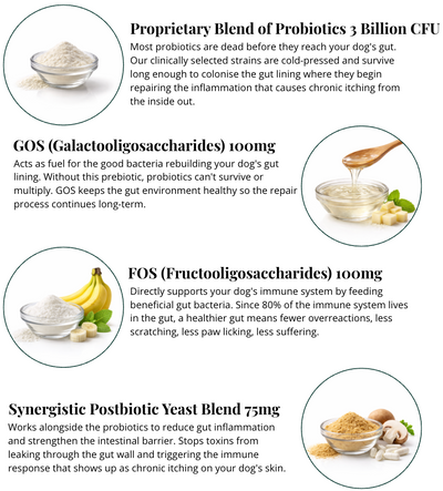 The Soft Chew That Fixes Your Dog's Gut From the Inside Out