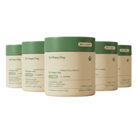 The Soft Chew That Fixes Your Dog's Gut From the Inside Out