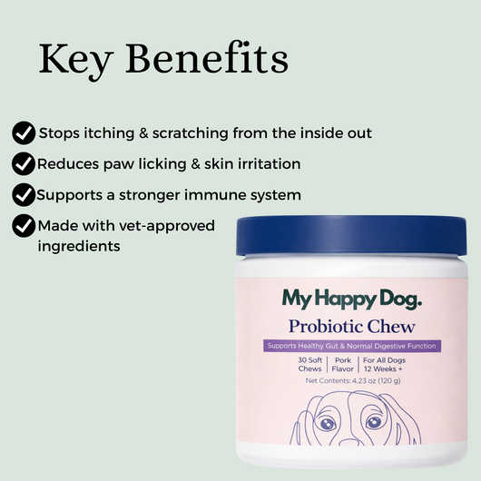 The Soft Chew That Fixes Your Dog's Gut From the Inside Out