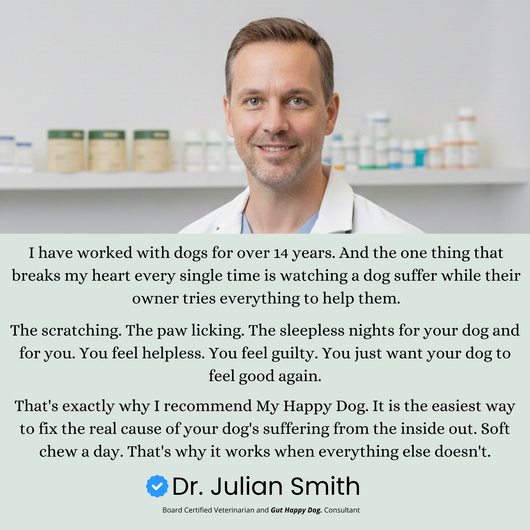 The Soft Chew That Fixes Your Dog's Gut From the Inside Out