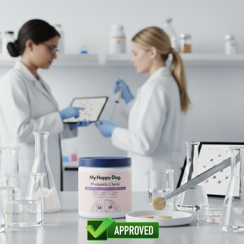 The Soft Chew That Fixes Your Dog's Gut From the Inside Out