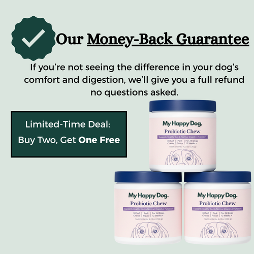 The Soft Chew That Fixes Your Dog's Gut From the Inside Out